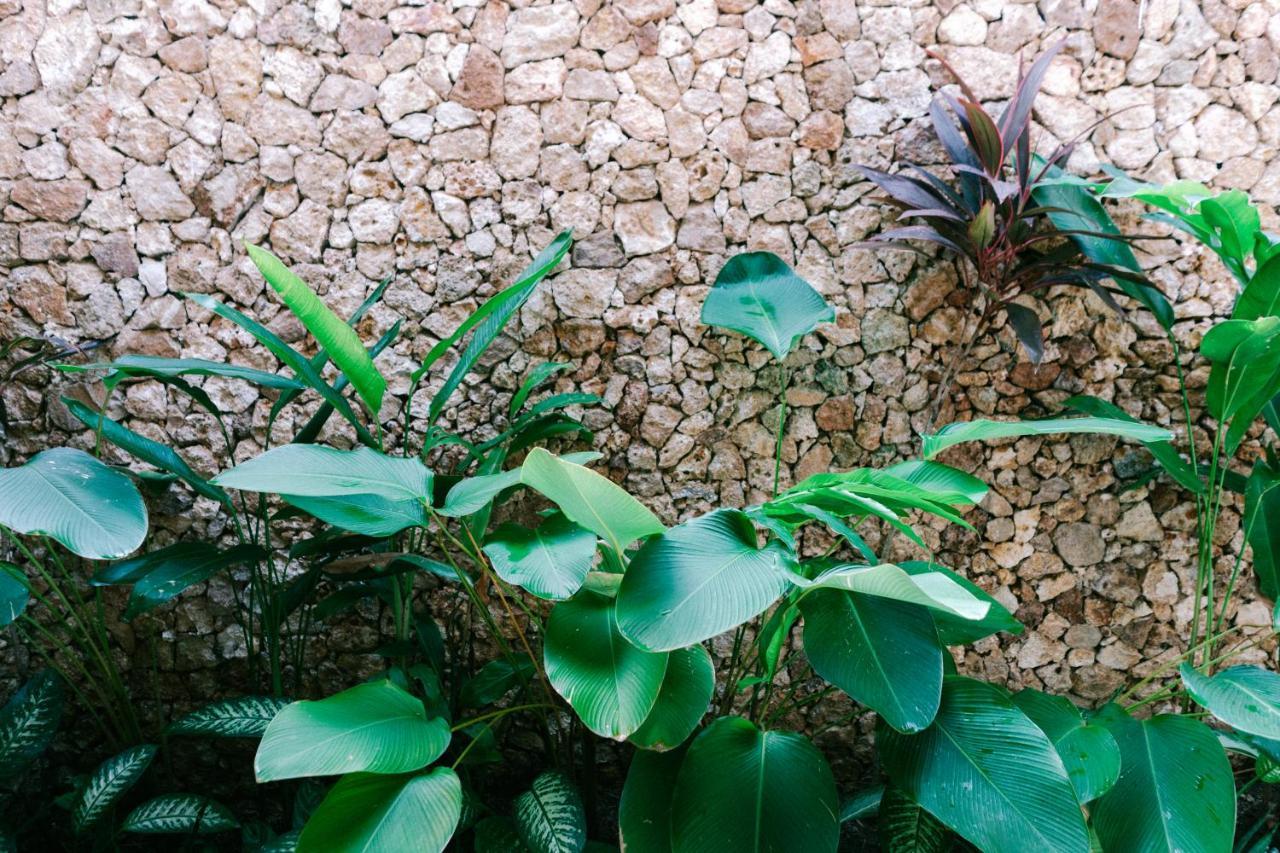 Mana Eco Retreat 호텔 Kuta  외부 사진